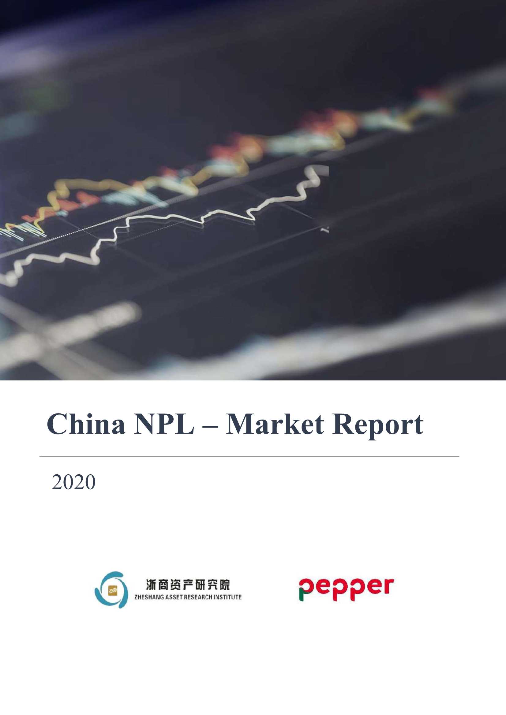 浙商资产研究院 Pepper 2020年中国不良资产市场报告 英文 2021 04 19页 报告先锋